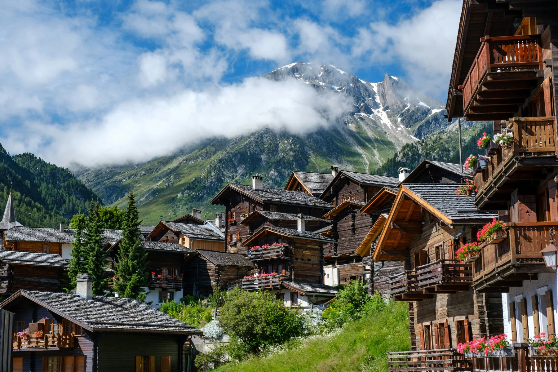 French-Swiss Corridor cross-border development market